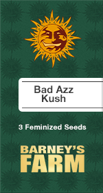Bad Azz Kush Fem