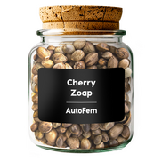 Cherry Zoap AutoFem