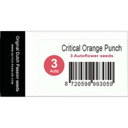 Critical Orange Punch AutoFem