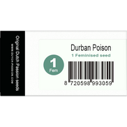 Durban Poison Fem