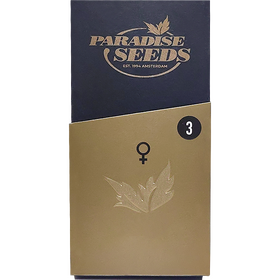 Gulupa Fem