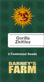 Gorilla Zkittlez Fem