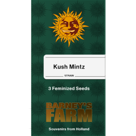 Kush Mintz Fem