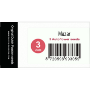Mazar AutoFem