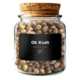 Ok Kush