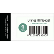 Orange Hill Special Fem