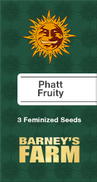 Phatt Fruity Fem