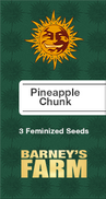 Pineapple Chunk Fem