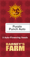 Purple Punch AutoFem