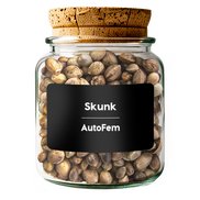 Skunk AutoFem