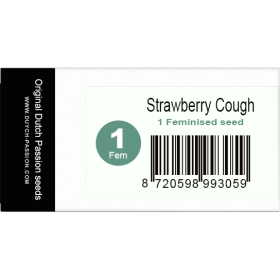 Strawberry Cough Fem