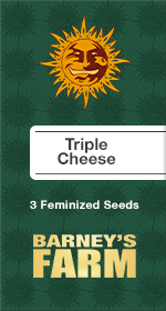 Triple Cheese Fem