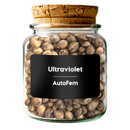 Ultraviolet  AutoFem
