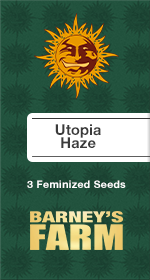 Utopia Haze Fem
