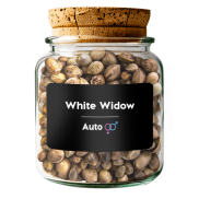 White Widow Auto